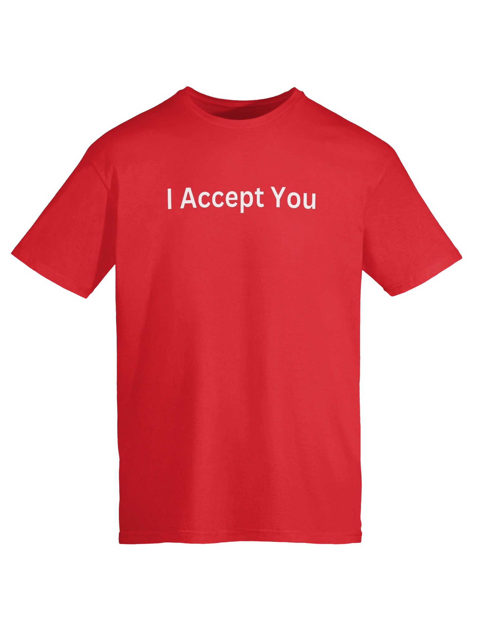 I Accept You T-Shirt product image (17)