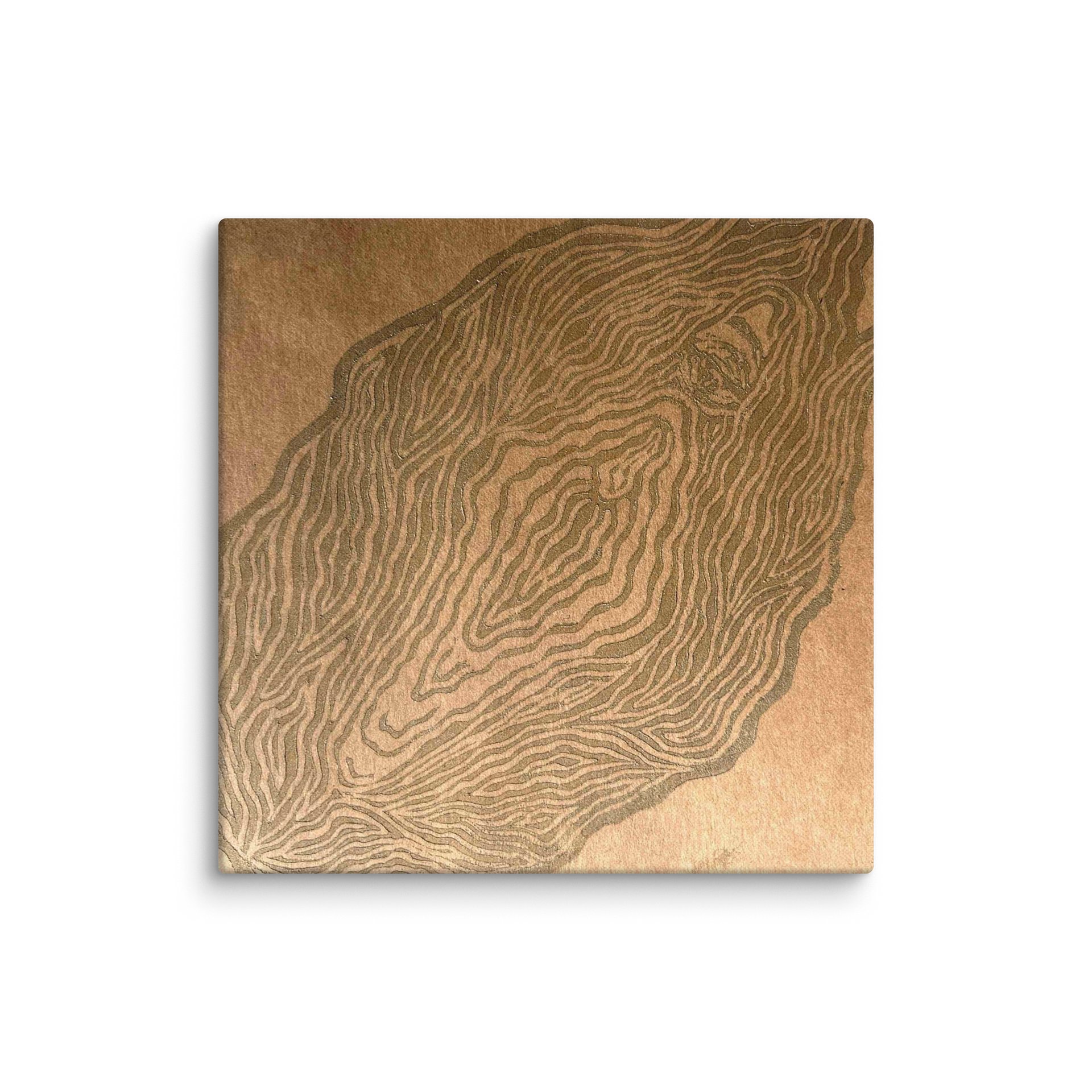 Resguardar — Canvas Print product image (1)