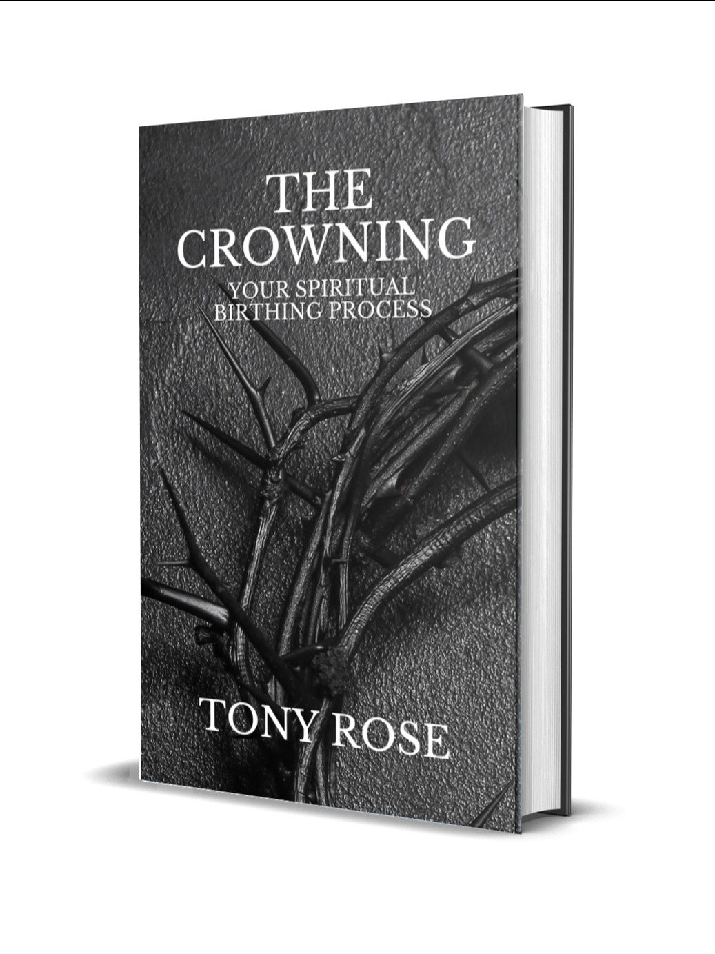 The Crowning: Your Spiritual Birthing Process - eBook product image (1)