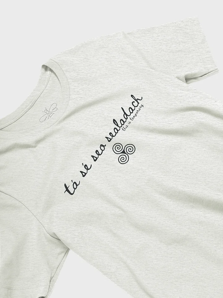 Tá Sé Seo Sealadach (This is Temporary) T-shirt Light Colors product image (2)