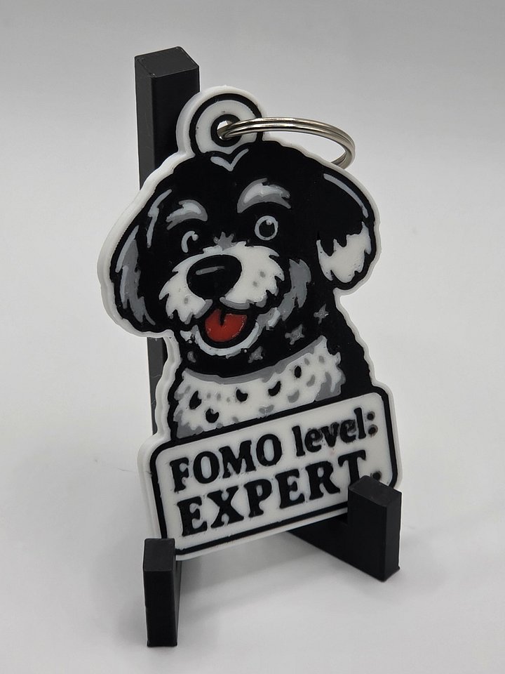 🐕 FOMO Level: Expert Keychain – Funny Dog Lover Gift 🐾 product image (2)