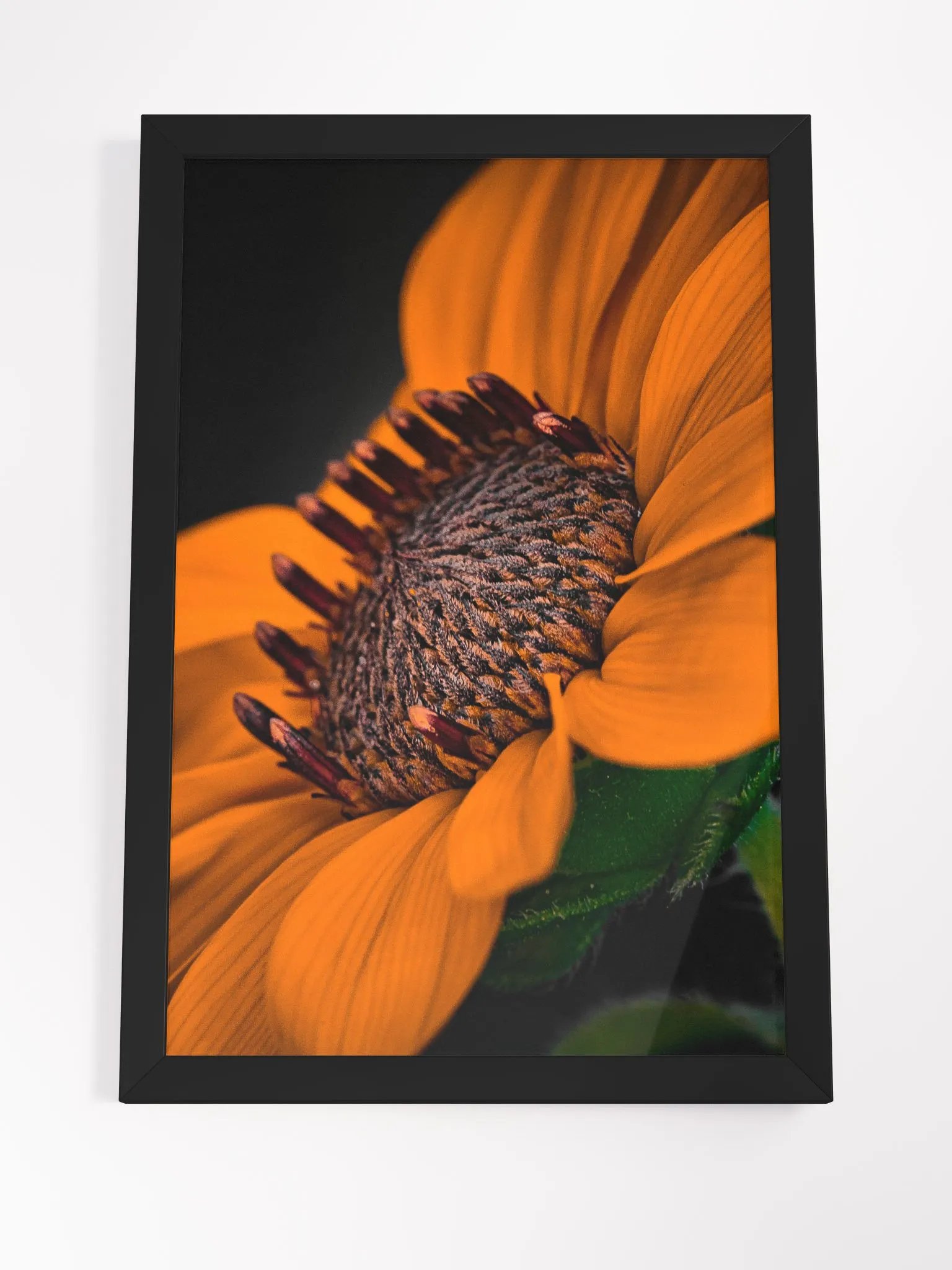 Orange You Glad Sunflower product image (4)