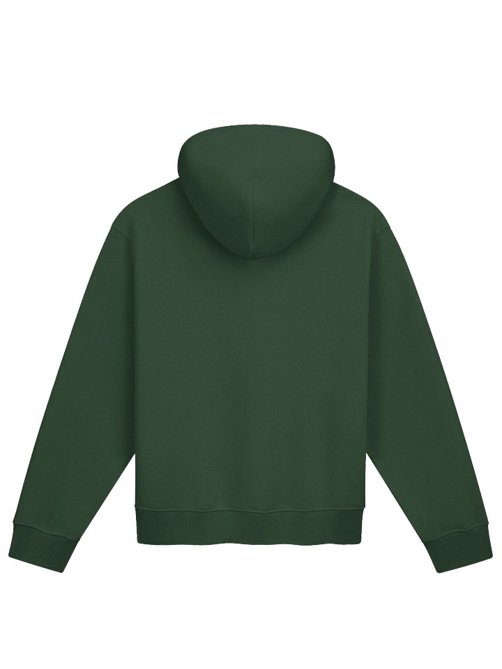 Bluebell Prototype Embroidered Hoodie product image (2)