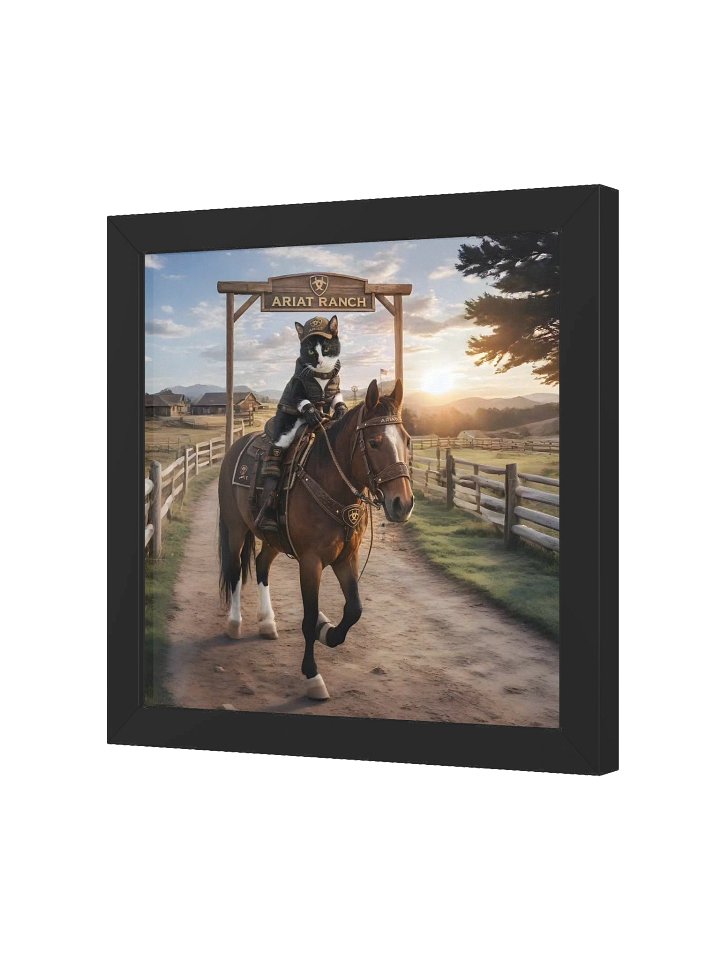 Ares Ariat Ranch product image (2)