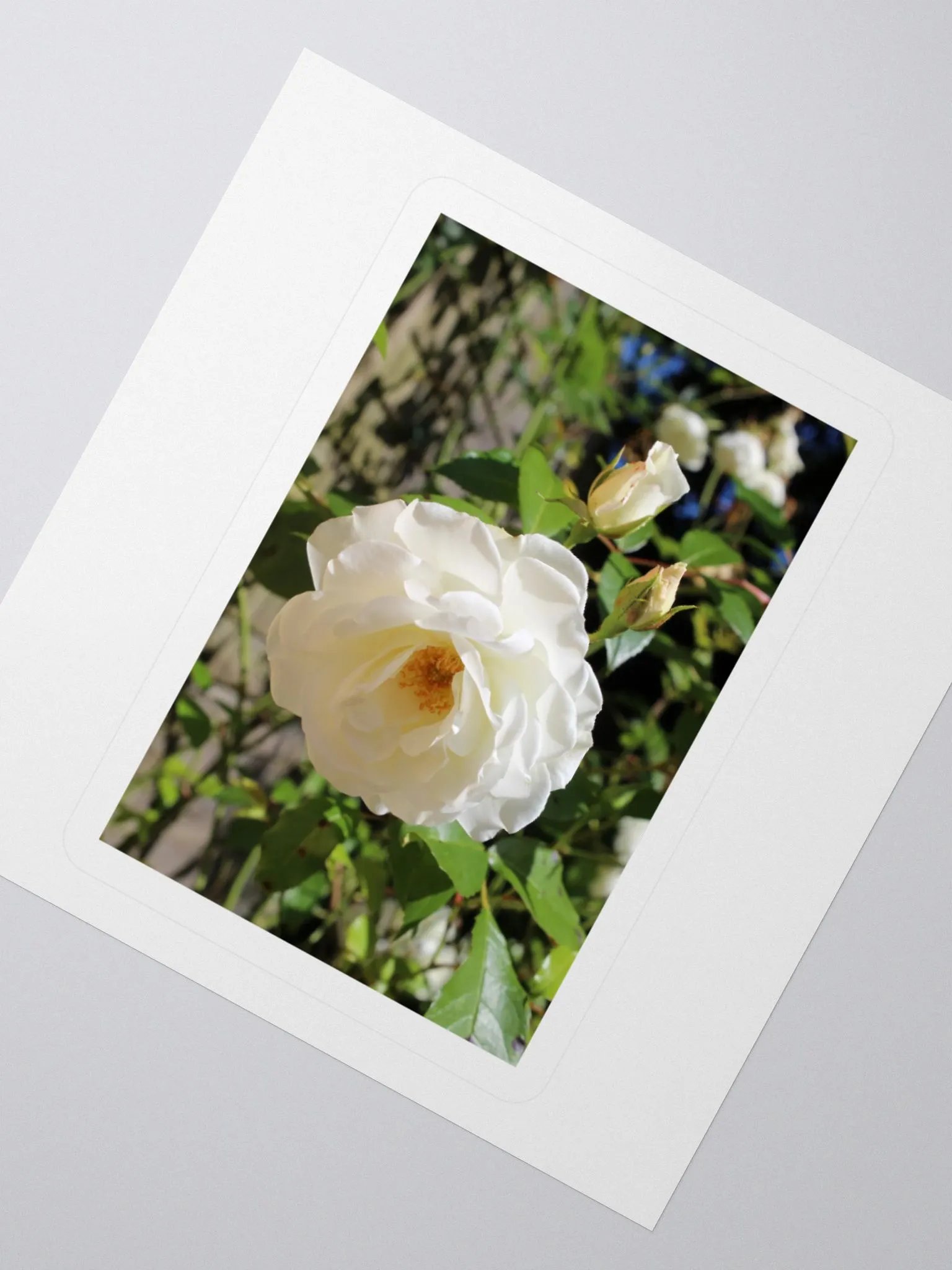 Bloom & Blossom Sticker Set product image (8)