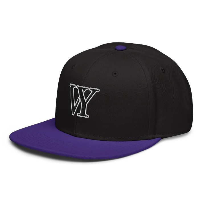 CLASSIC VY VYNING SnapBack product image (2)