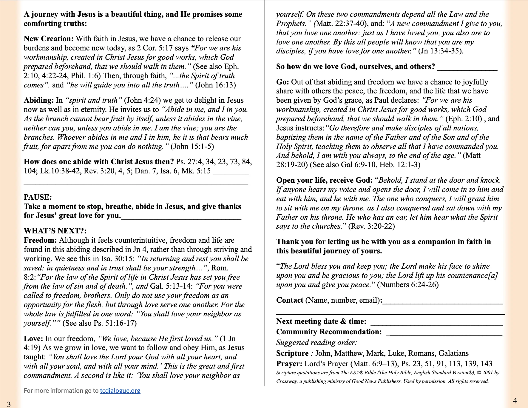 Basic Gospel Printout - ESV product image (2)