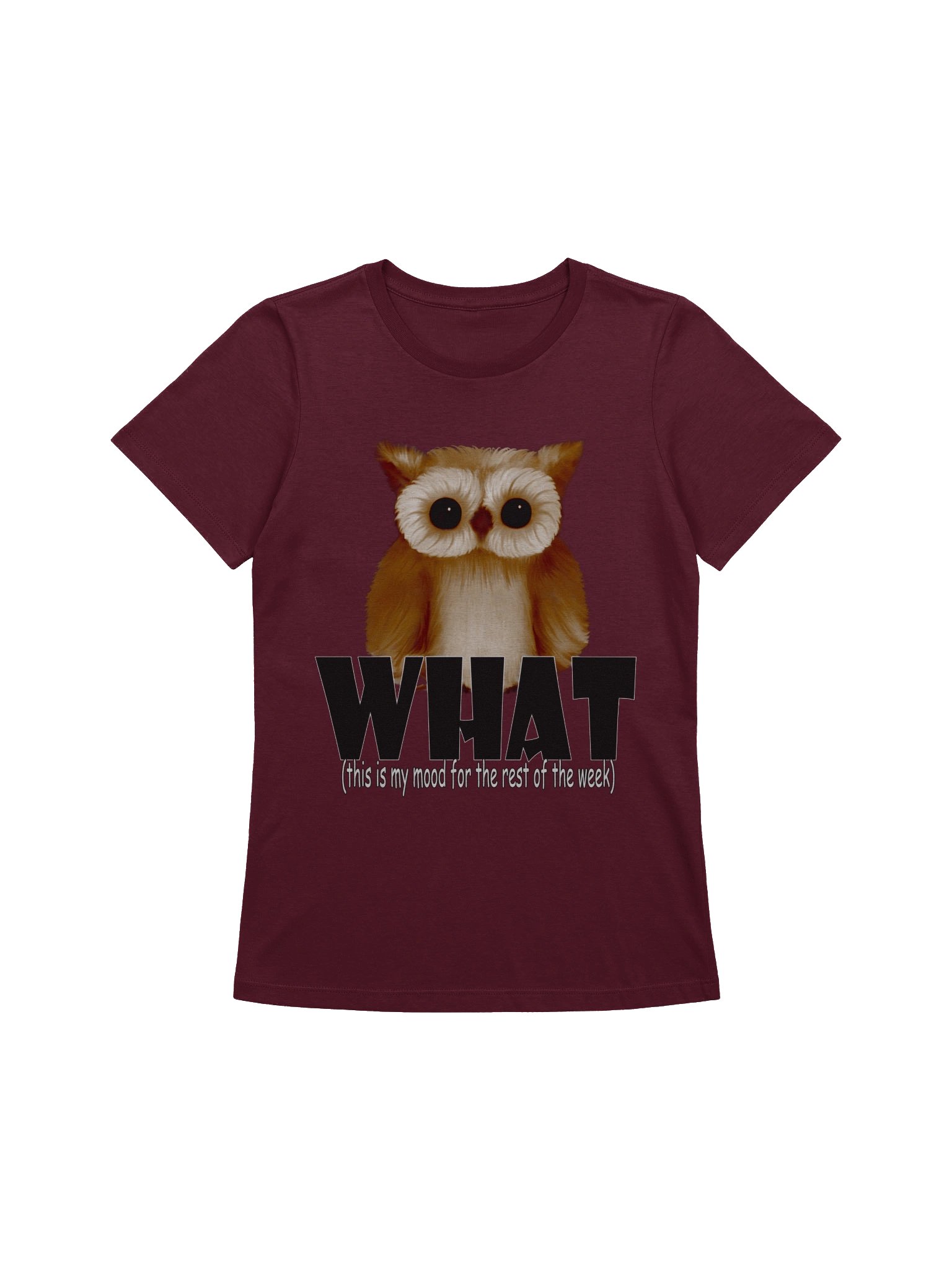 Owl "WHAT" T-Shirt. Women's Bella+Canvas Supersoft Relaxed-fit T-Shirt product image (1)
