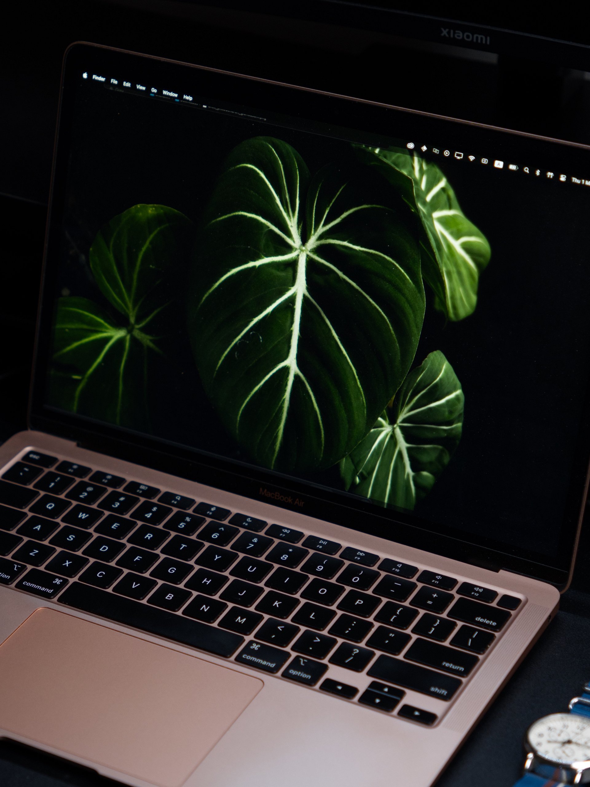 Philodendron Gloriosum Wallpaper product image (5)