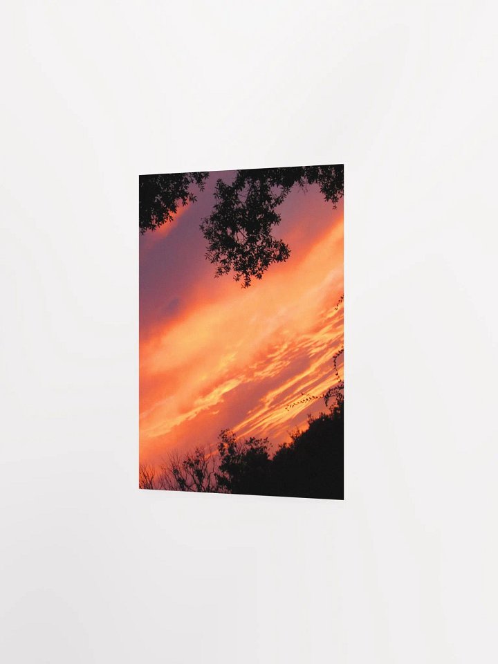 Florida Sunset 2 product image (17)