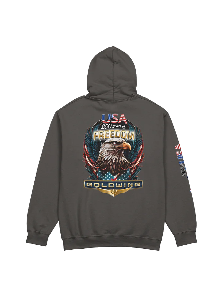 America 250 GOLDWING Hoodie product image (9)