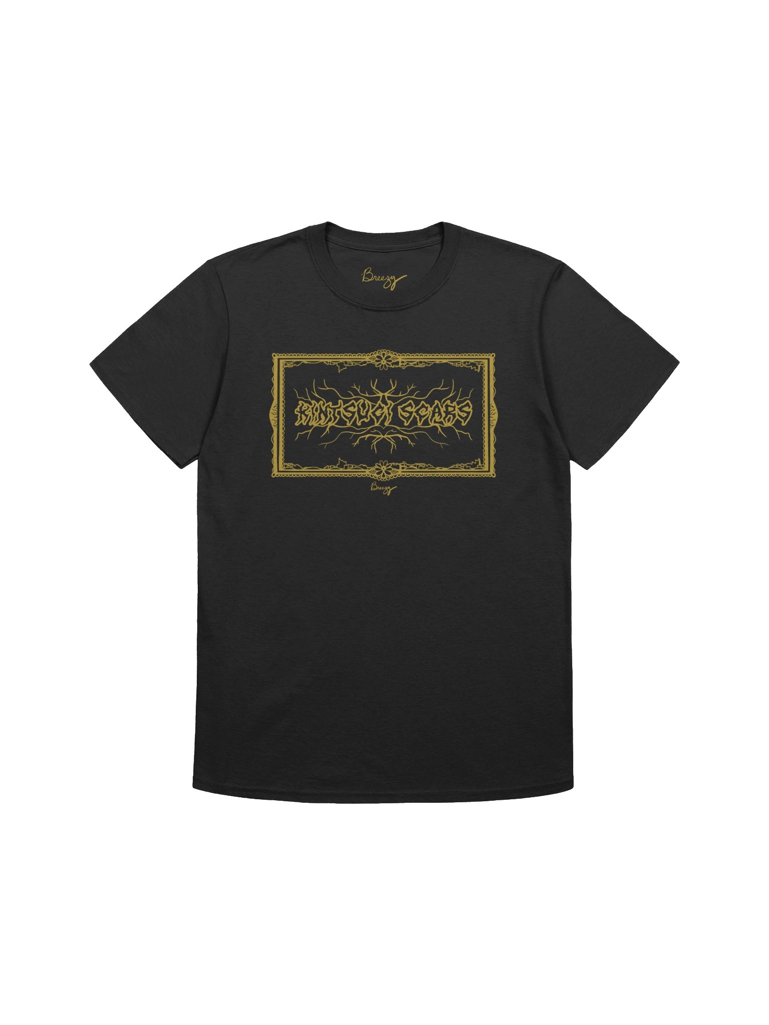 Kintsugi Scars Frame Tee product image (1)