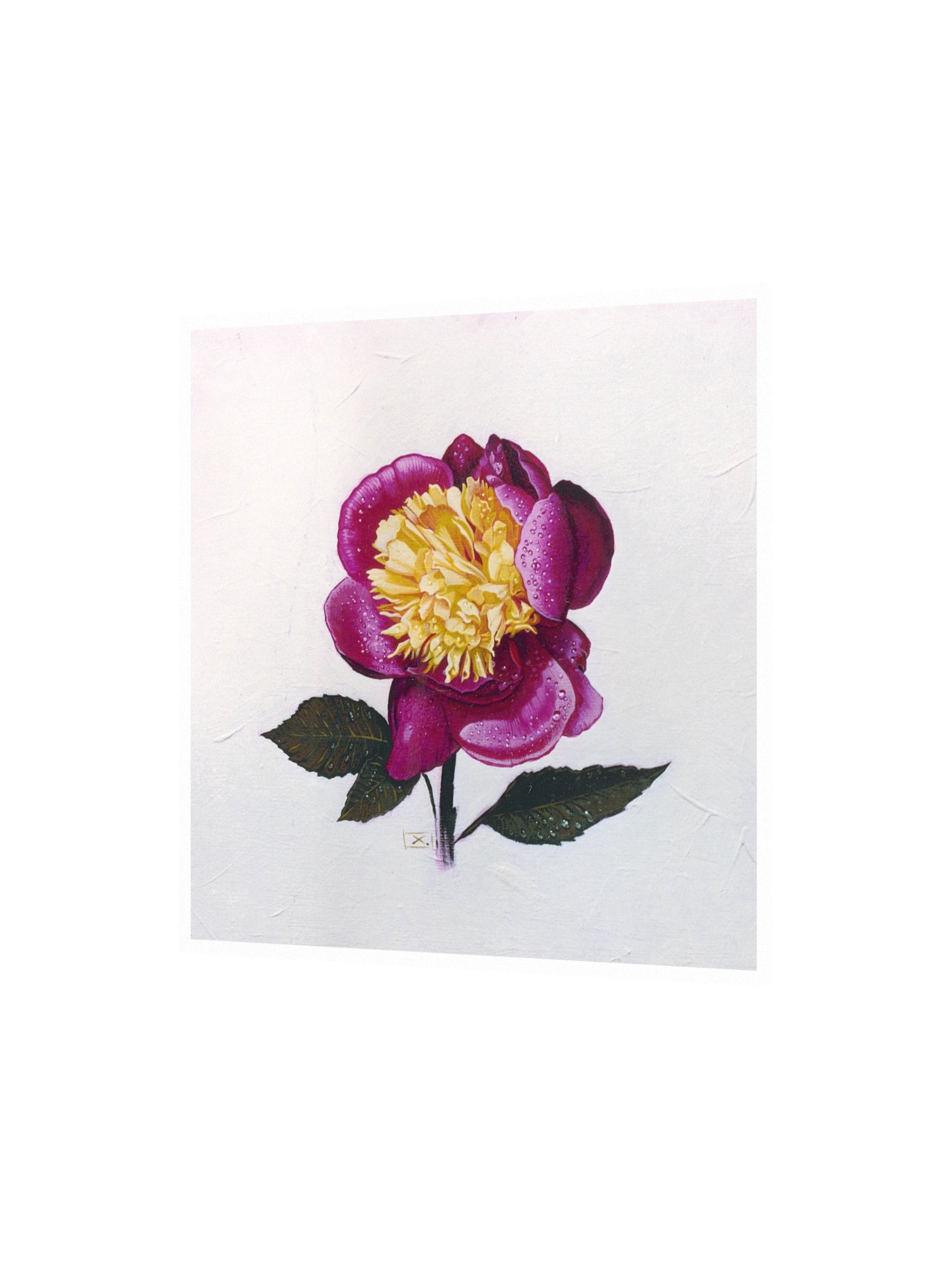 Peony After the Rain product image (2)