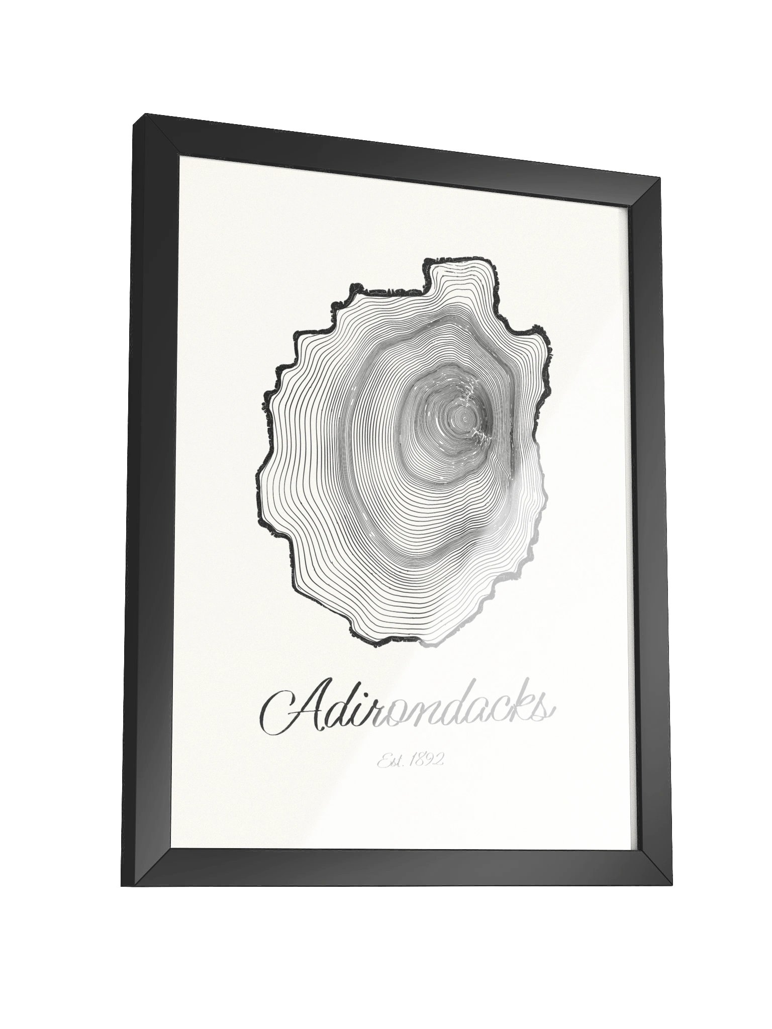 Adirondack Park Tree Ring Framed Print product image (15)