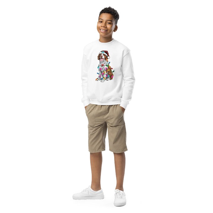 Funny Christmas Brittany Spaniel(Brown) Youth Sweatshirt product image (1)