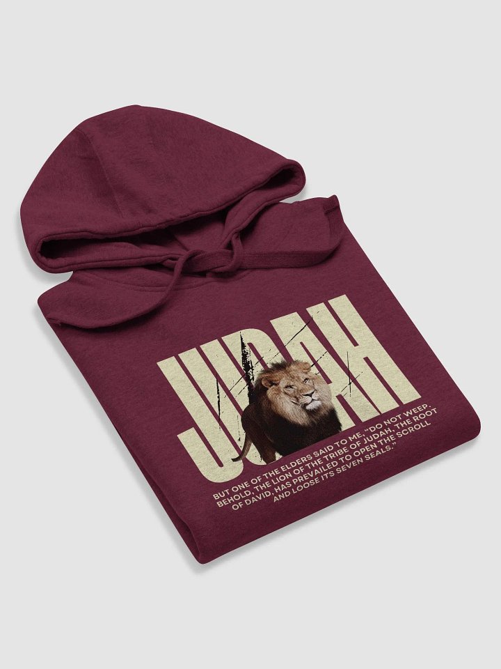 Lion of Judah Premium Hoodie product image (2)
