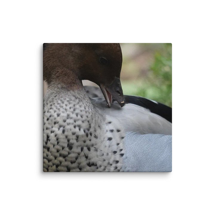 Duck on a Canvas product image (1)