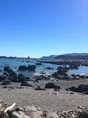 a day around the bays in wellington #ocean #nz #wellington #pacific #beach 