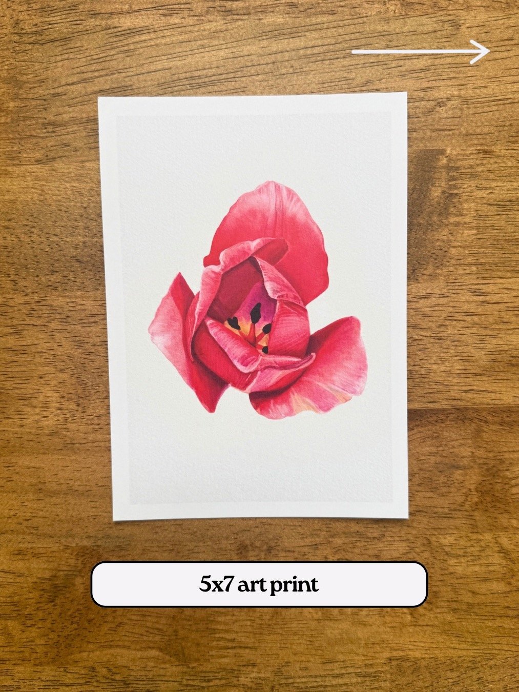 Still Waters One Time Trial Letter Bundle product image (6)