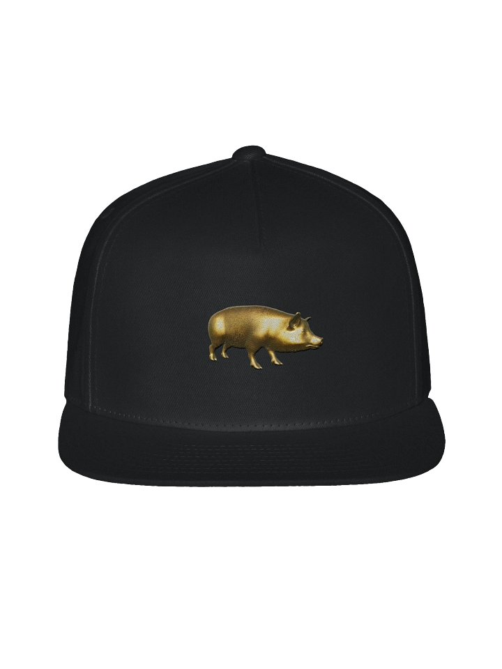 GOLD HAWG Snapback product image (1)