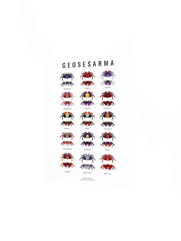 GEOSESARMA VAMPIRE CRAB POSTER (WHITE) product image (2)