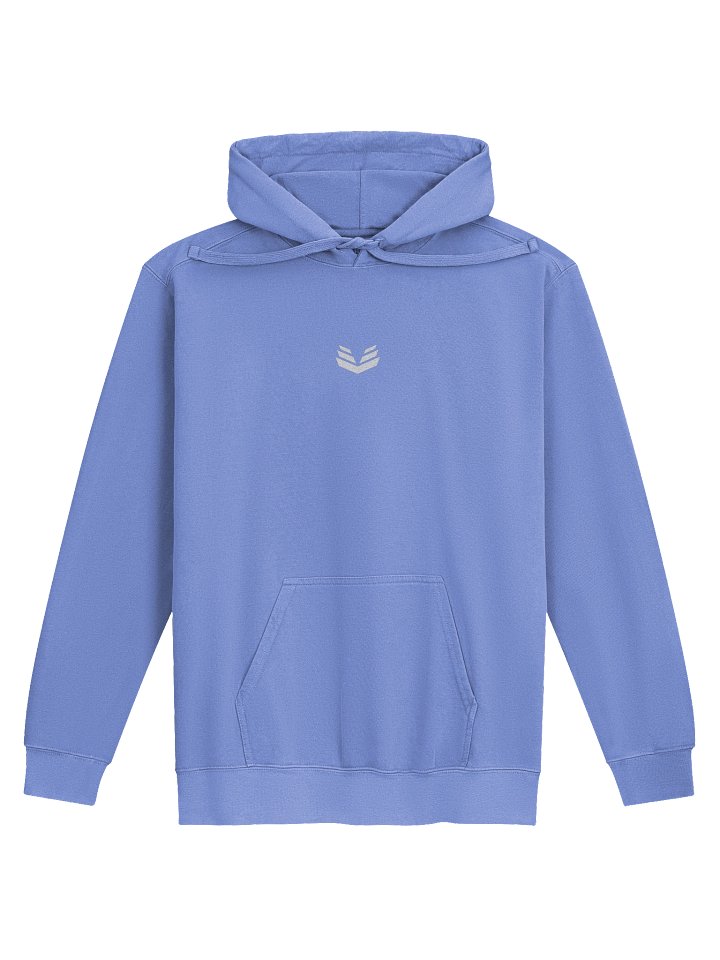 Icon Hoodie - Flo Blue product image (1)