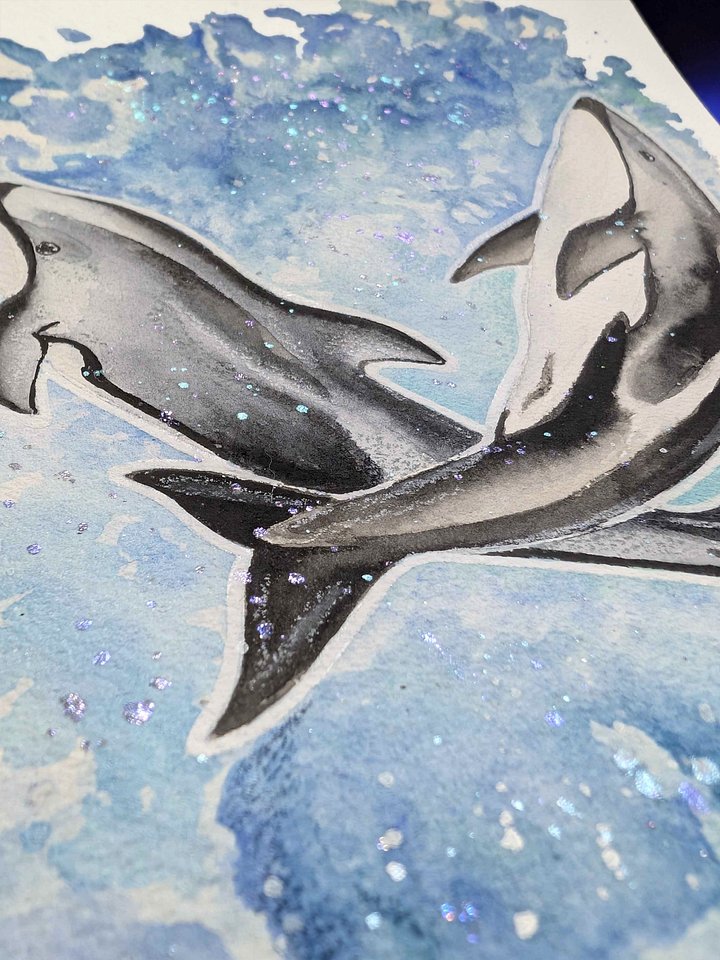 Pacific Whitesided Dolphin Watercolor product image (2)