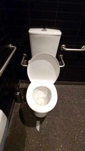 📍 Kings Park, NSW (accessible). 

#maccasdunnies #kingspark #visitnsw #imlovinit #accessiblebathroom