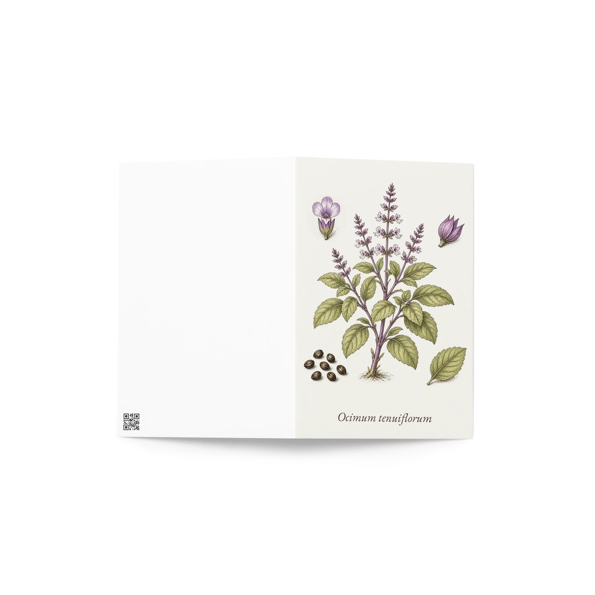 Vintage Botanical Holy Basil (Tulsi) Greeting Card product image (4)
