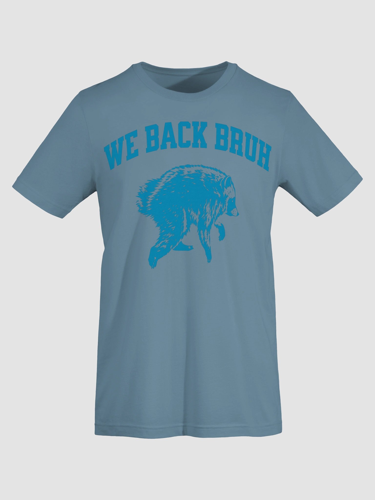 We Back Bruh Raccoon Meme Funny Back To School Trash Panda T-Shirt product image (50)