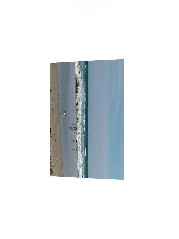 Shoreline Gathering - Print product image (4)