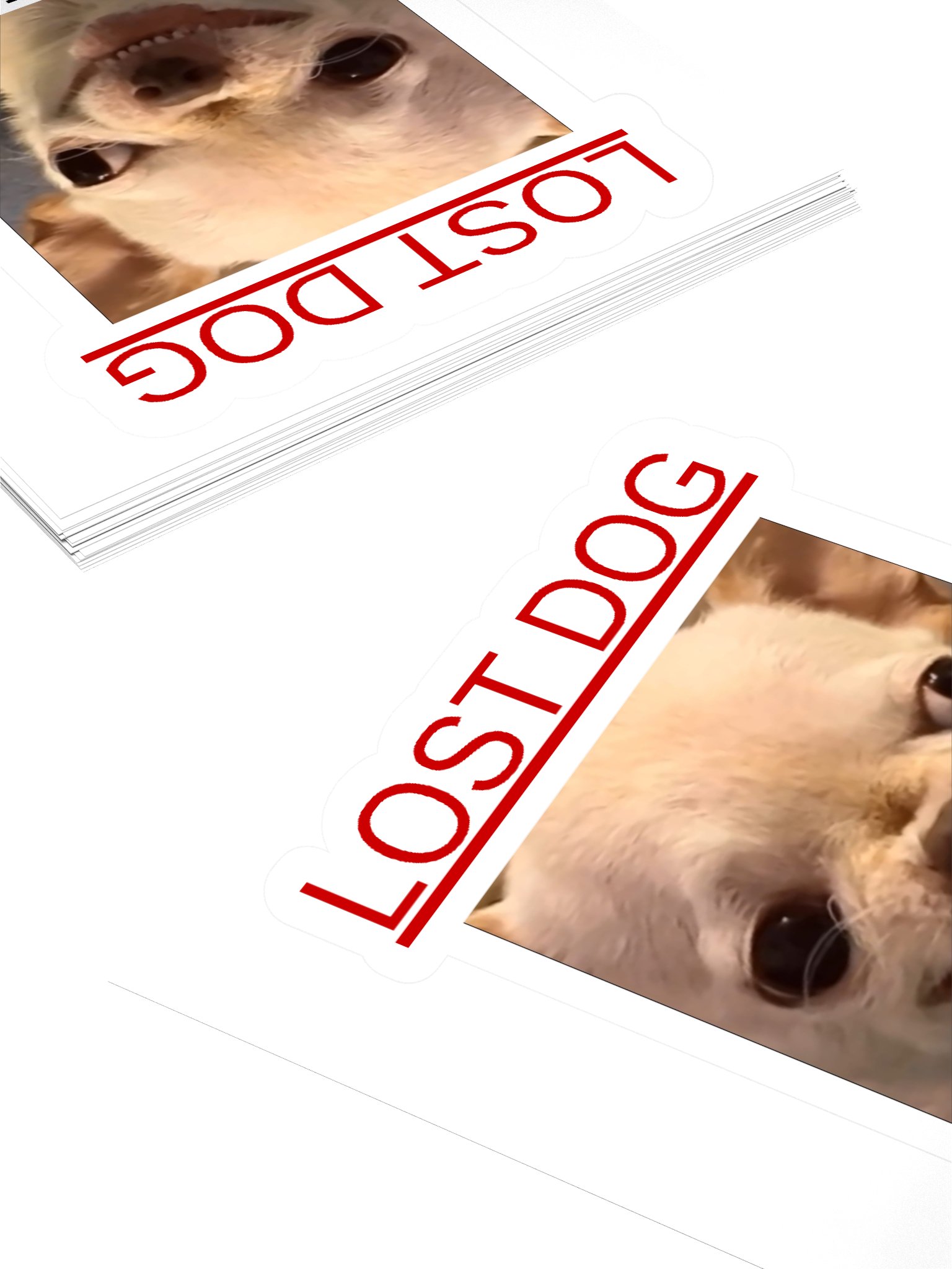 Lost Dog Sticker product image (4)