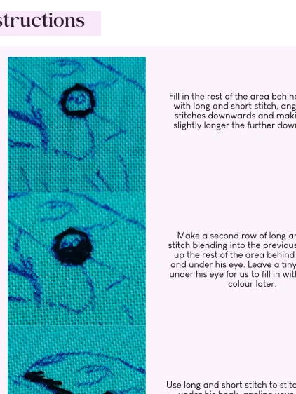 Gothic Raven PDF hand embroidery pattern product image (4)