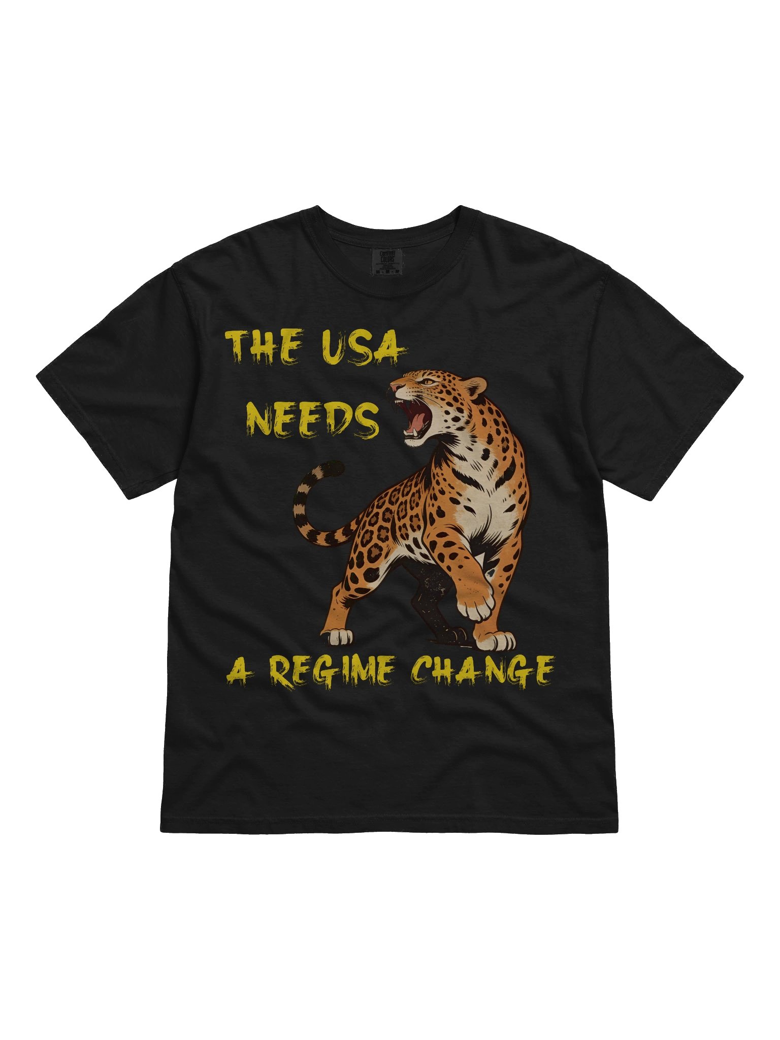USA Needs Regime Change T-Shirt product image (3)