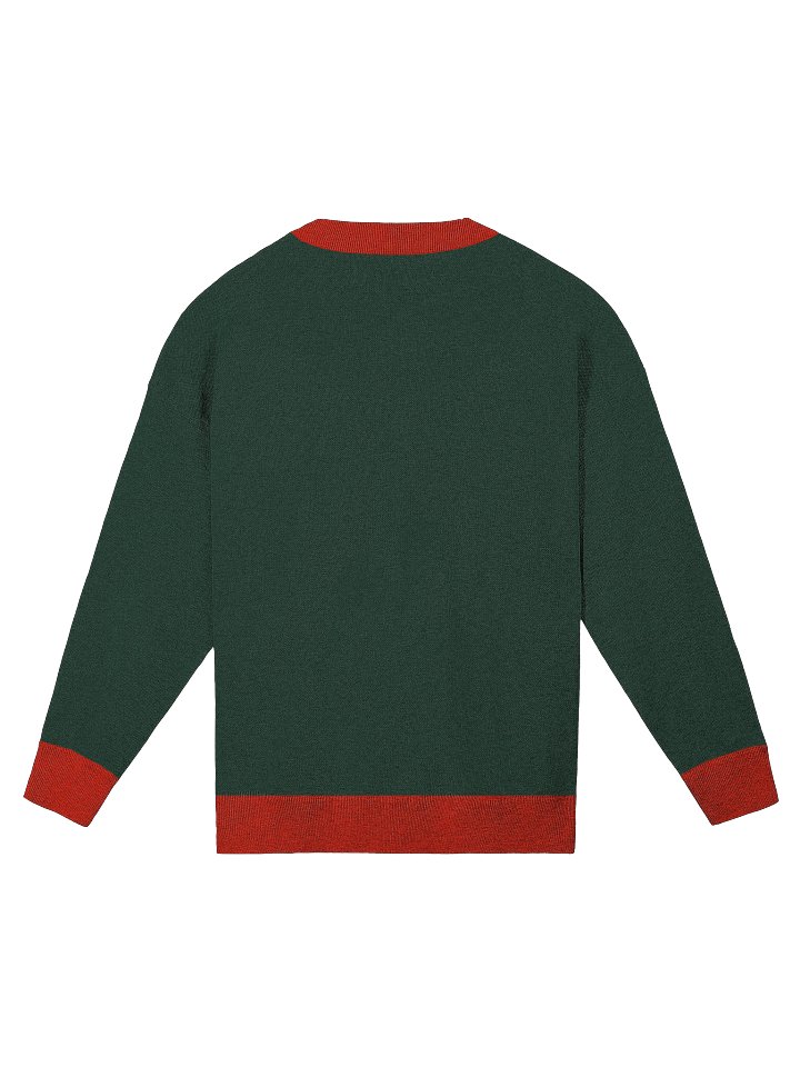 The Naughty or Neigh Sweater (wholesale) product image (2)