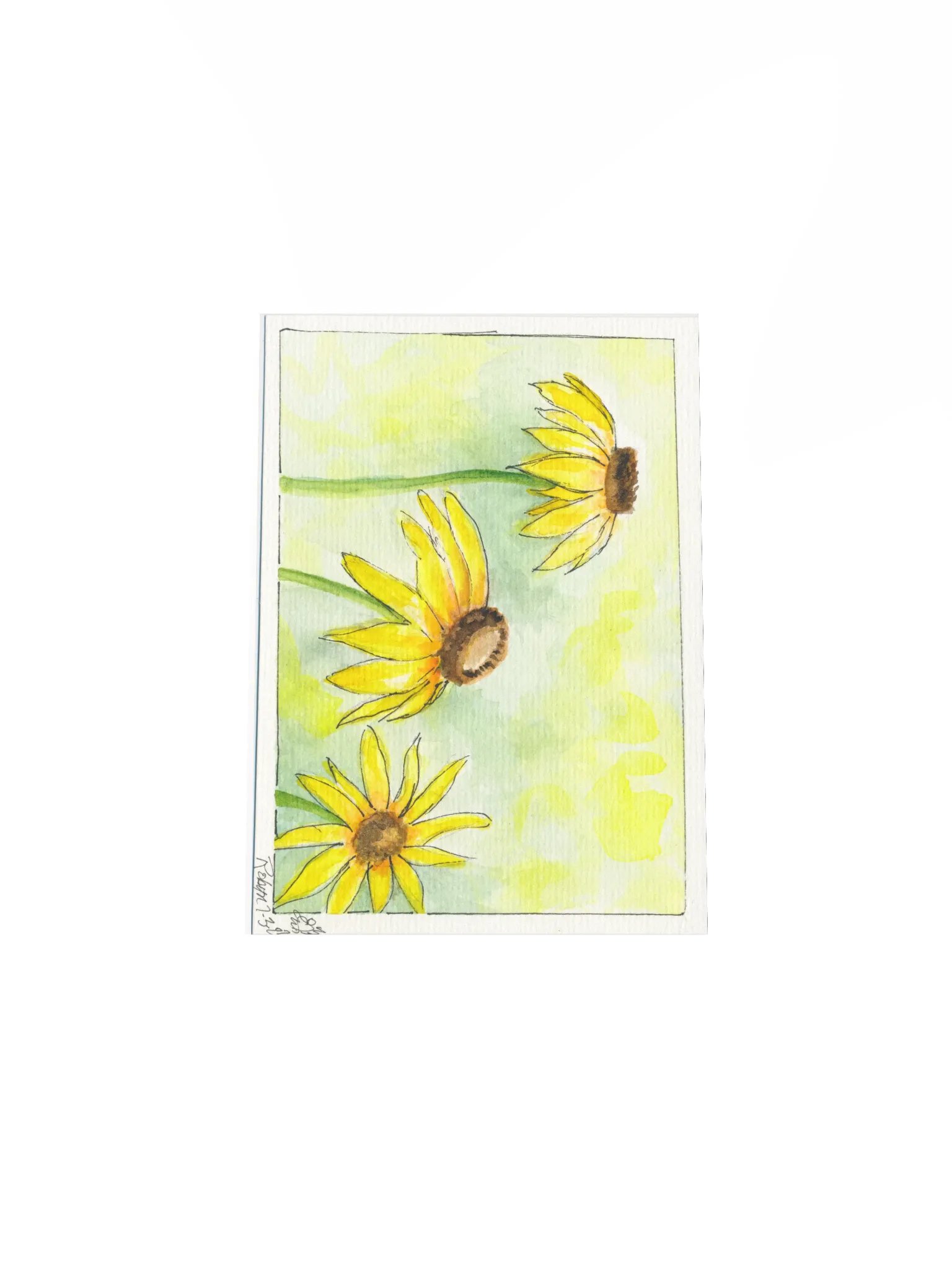 Yellow Cornflowers Print product image (4)