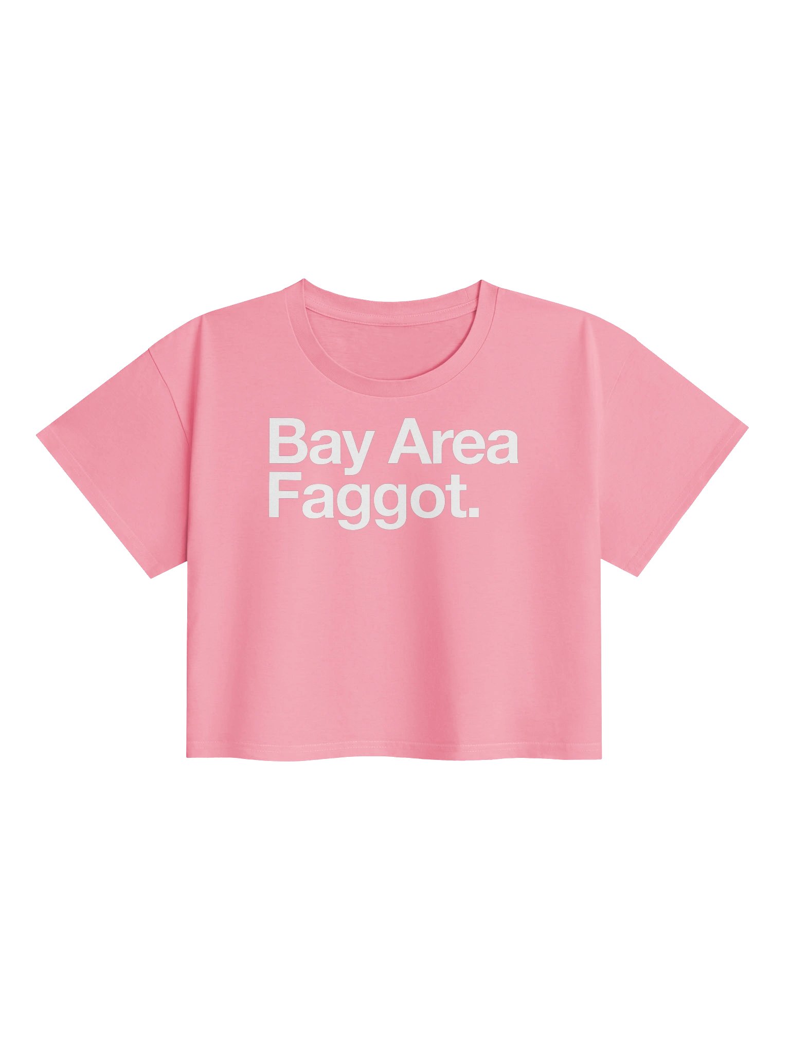 Bay Area Faggot Crop Tee product image (13)
