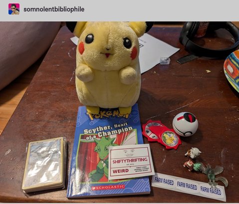 Pokemon Junk Box product image (2)