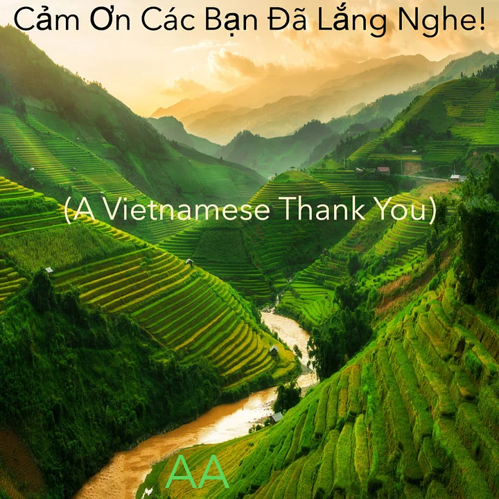 Cảm Ơn Các Bạn Đã Lắng Nghe! (A Vietnamese Thank You) product image (1)