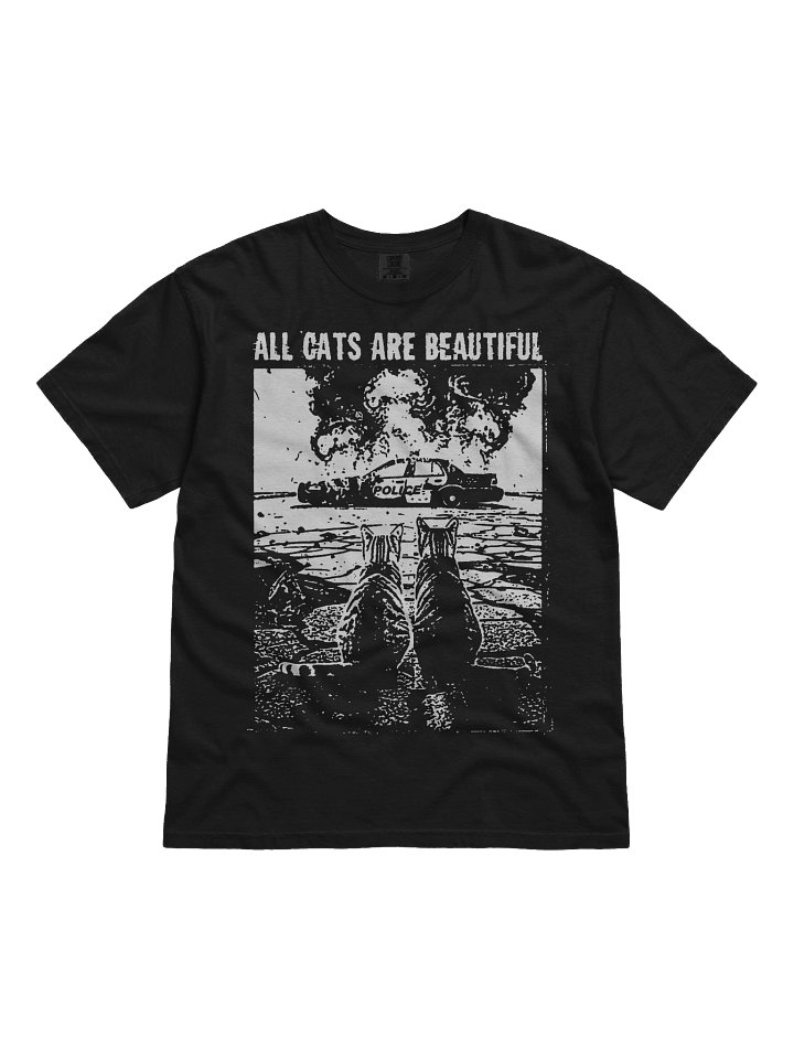 ALL CATS ARE BEAUTIFUL product image (1)