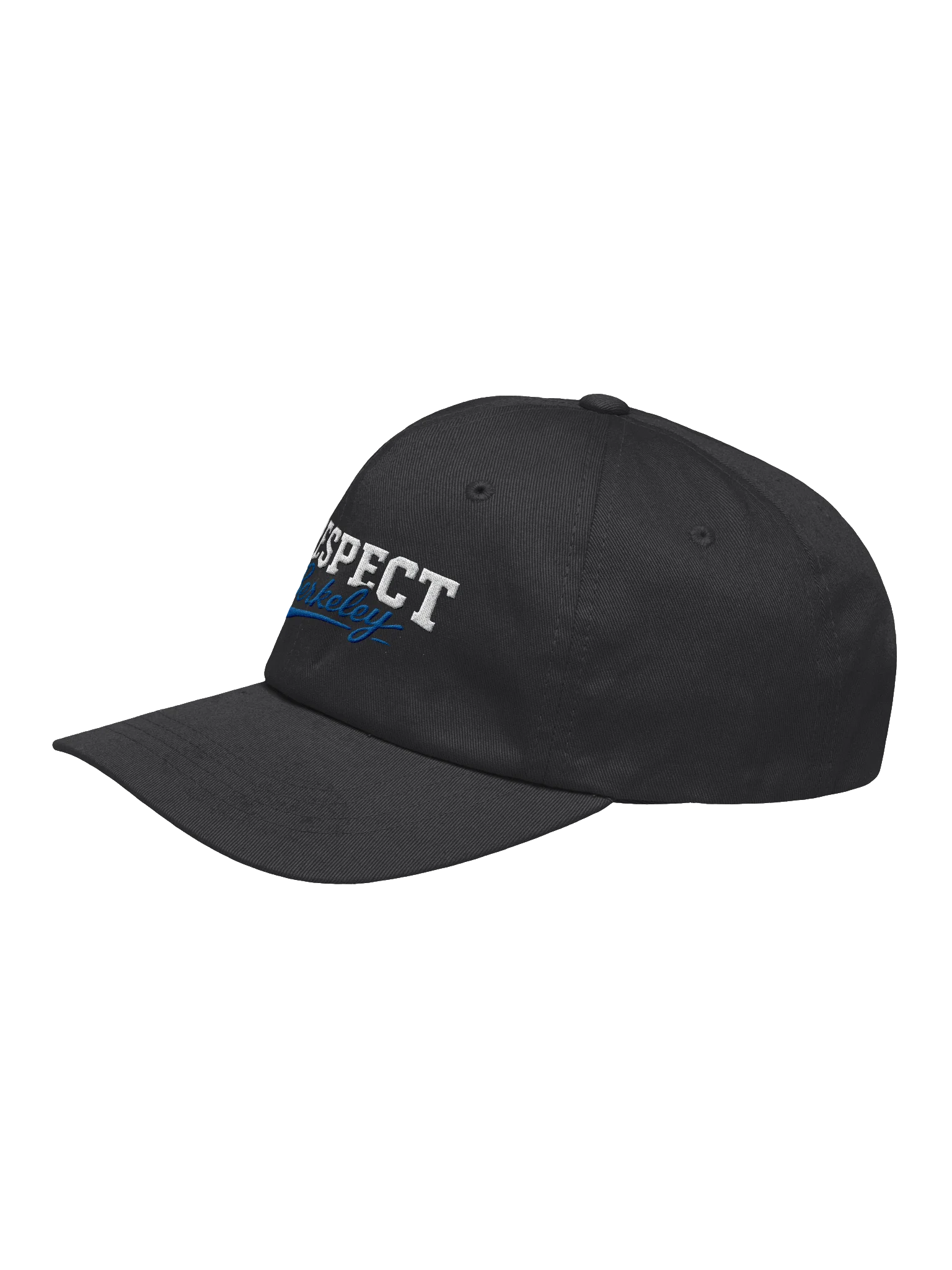 RESPECT Berkeley Dad Hat product image (11)