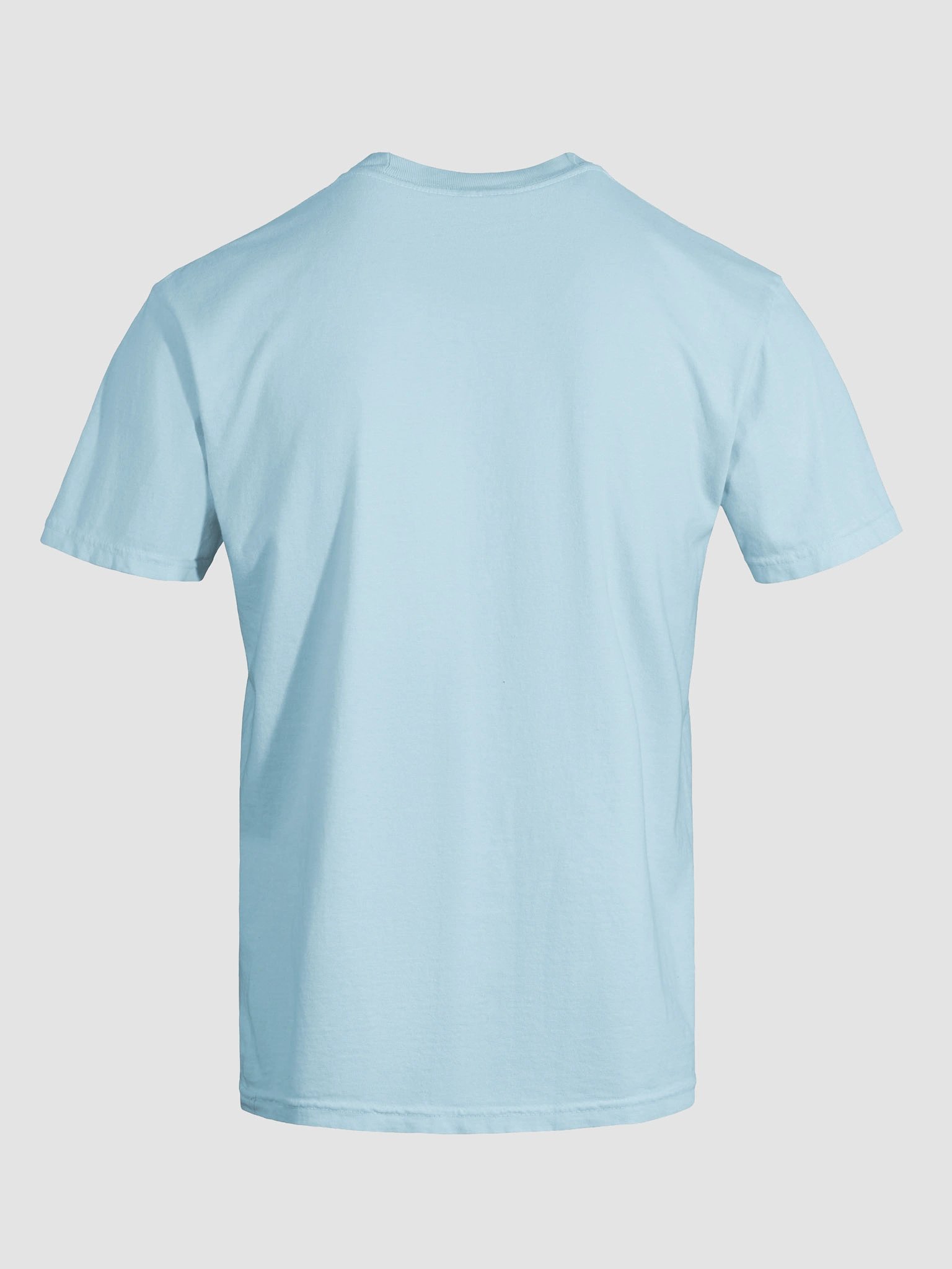 Silly Goose Western Shirt - Western True Crime Gift Tee - Light product image (31)