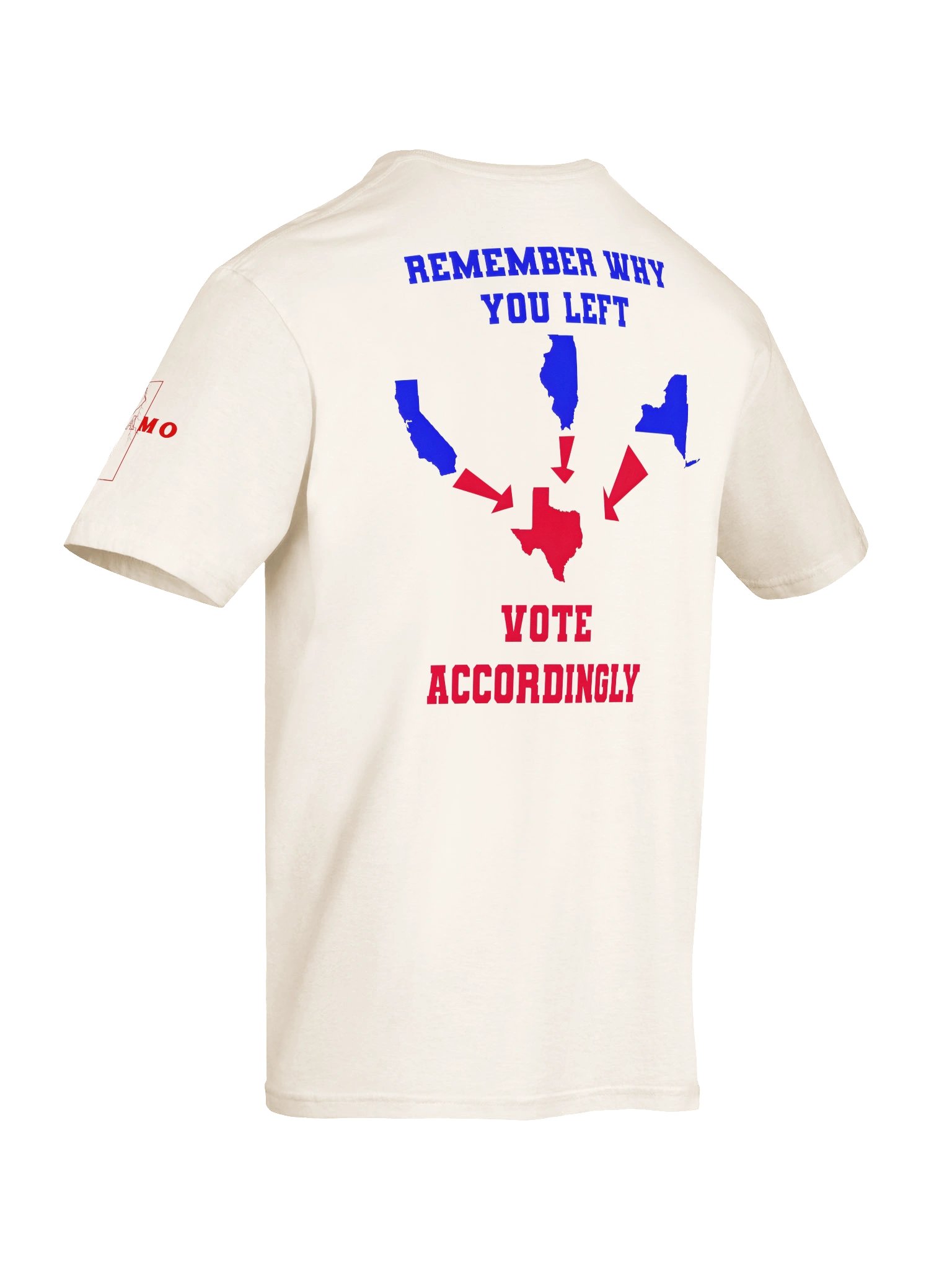 Vote Accordingly Texas product image (8)