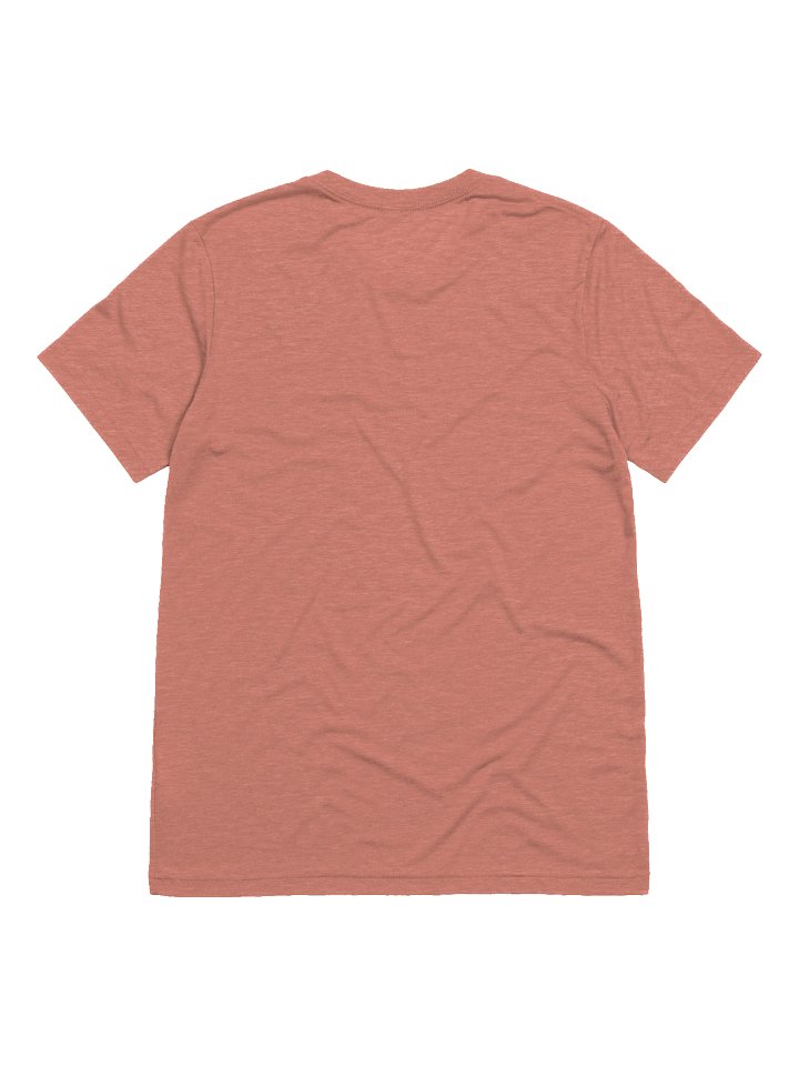 Fly Illustration Tri-Blend Tee product image (21)