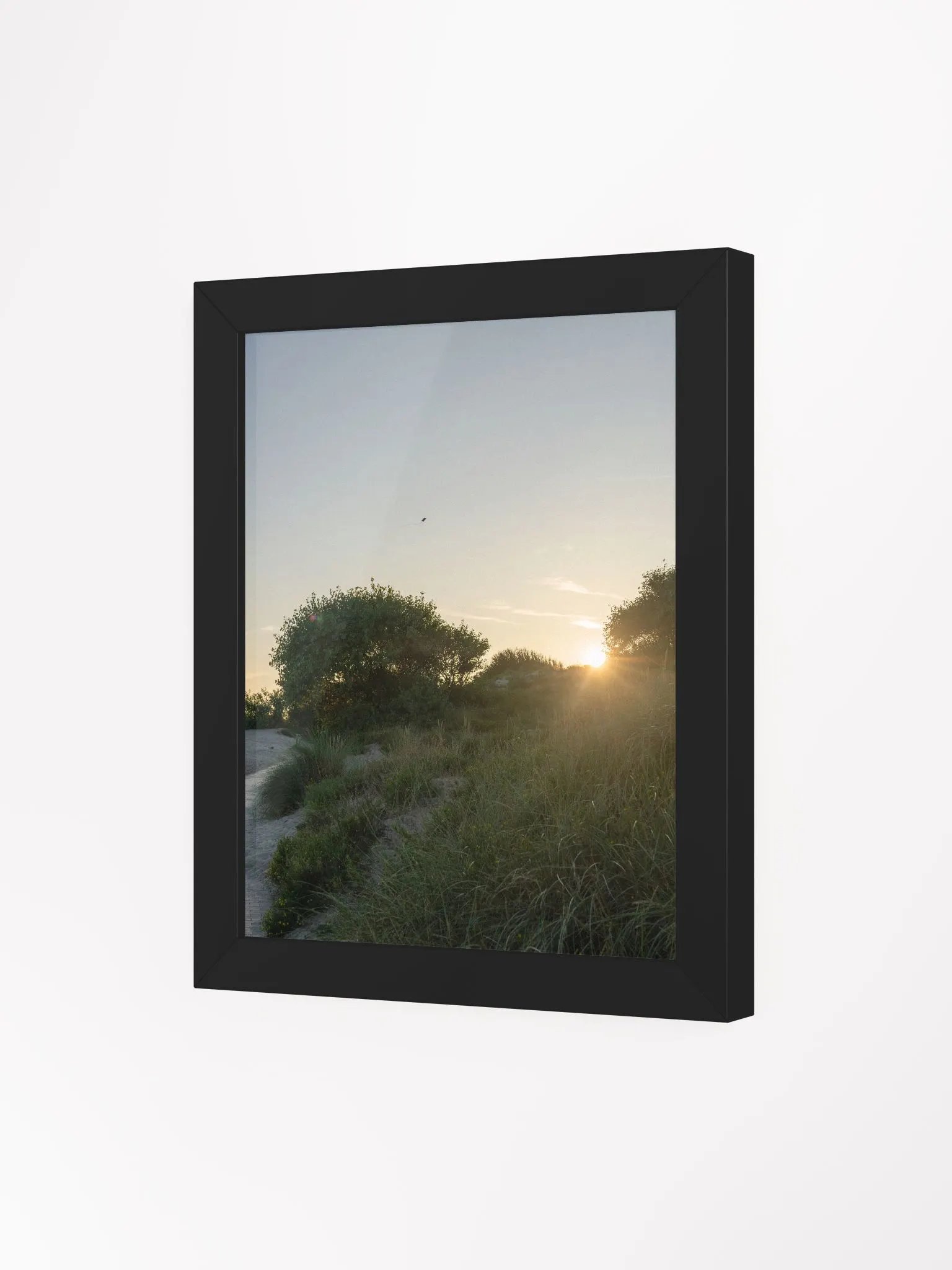 Nature with beautiful sunset product image (3)