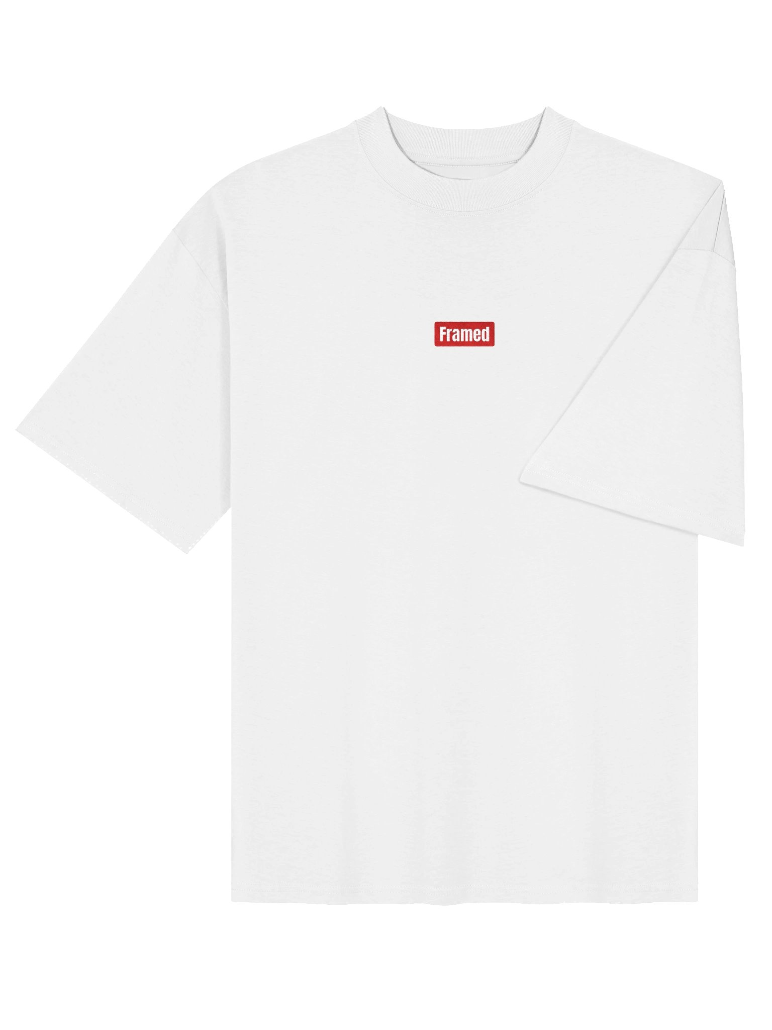 Framed Embroidered Logo Oversized T-Shirt product image (4)