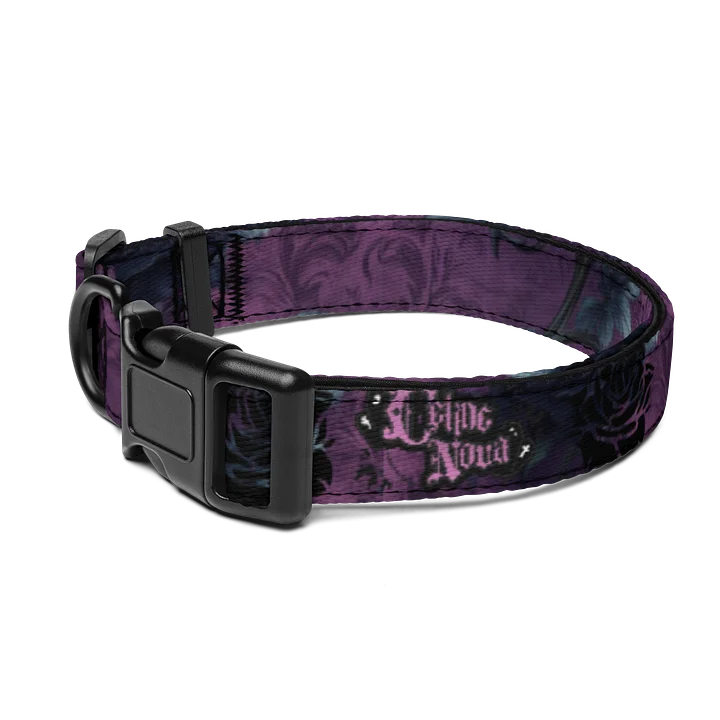 Loyalty collar product image (1)