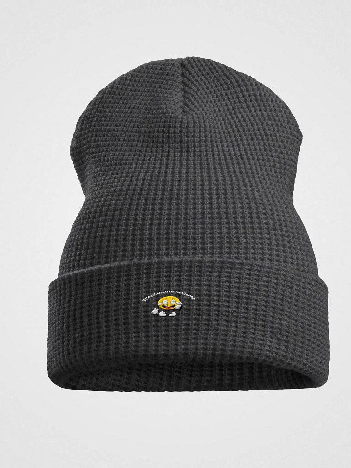 RealMerch STAWWWWWWWPPP Waffle Beanie product image (1)