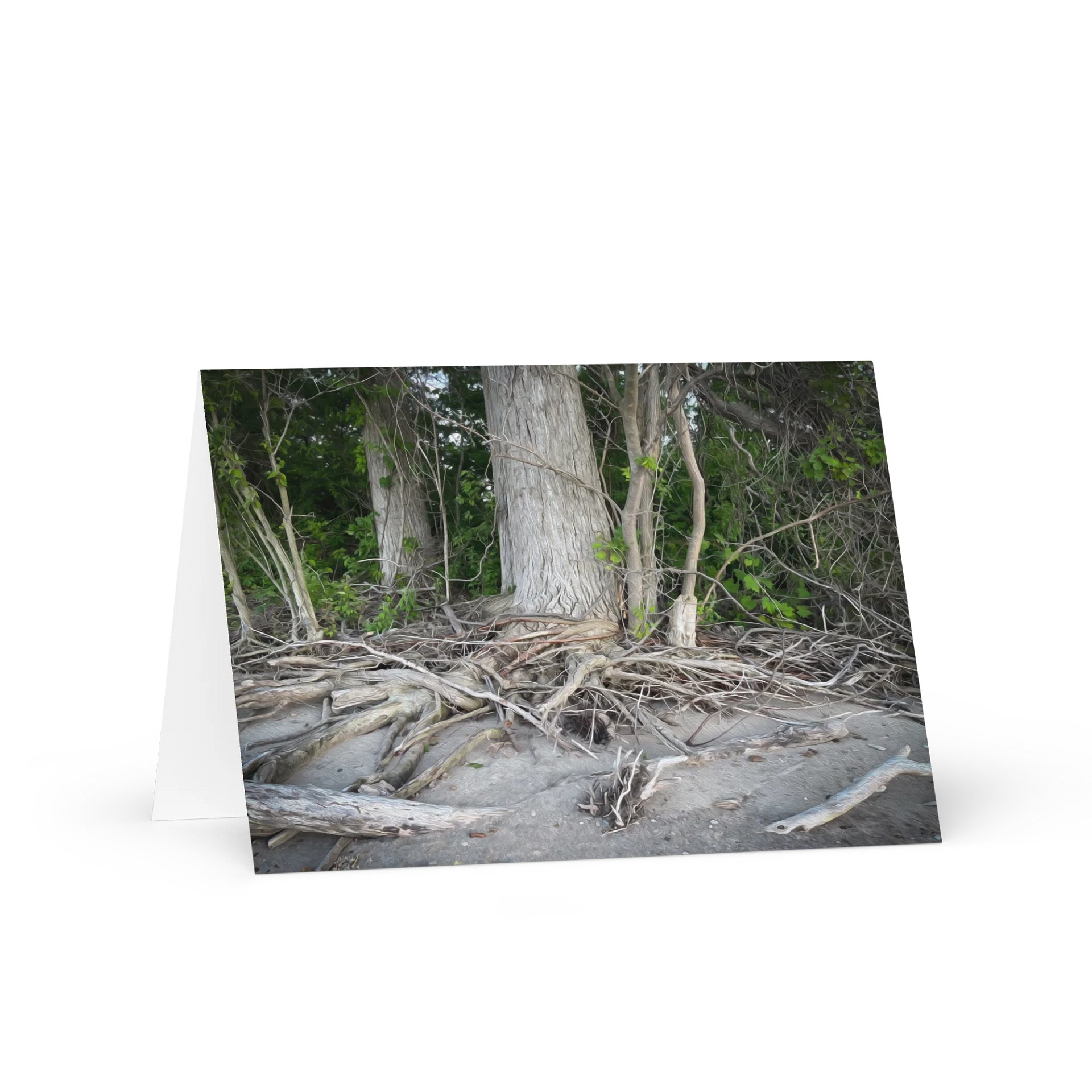 Rooted Greetings product image (1)
