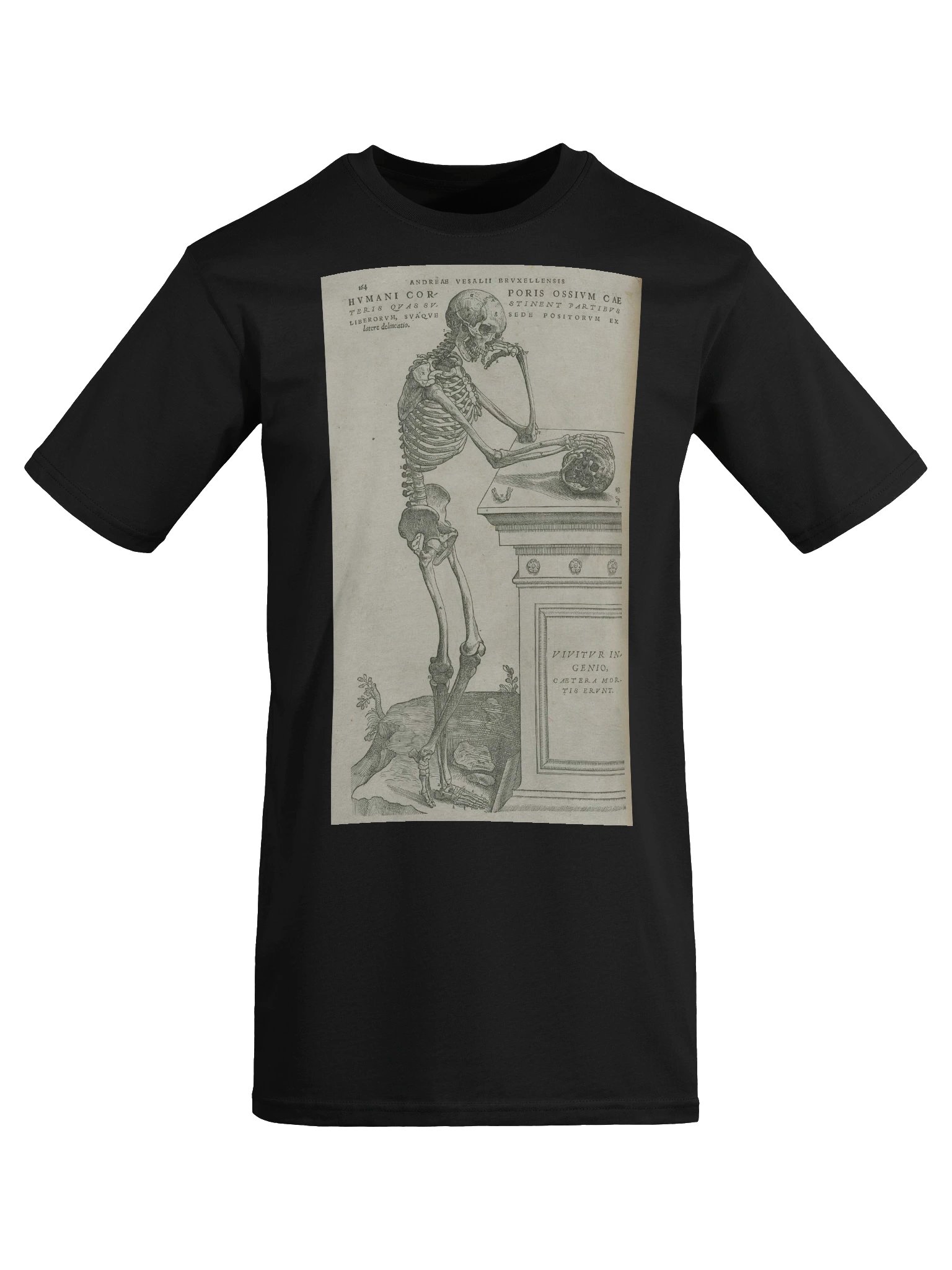 "Skeleton Pondering Mortality" by Andreas Vesalius. product image (5)